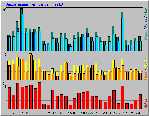 Daily usage for January 2013