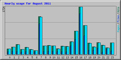 Hourly usage for August 2011