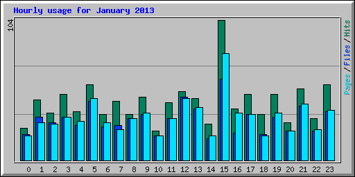 Hourly usage for January 2013