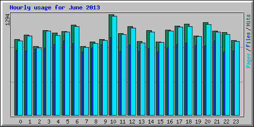 Hourly usage for June 2013