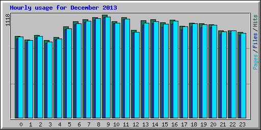 Hourly usage for December 2013