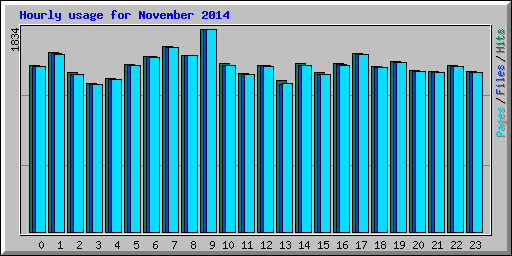 Hourly usage for November 2014