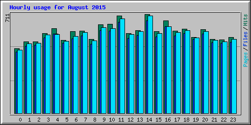 Hourly usage for August 2015