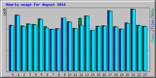 Hourly usage for August 2016