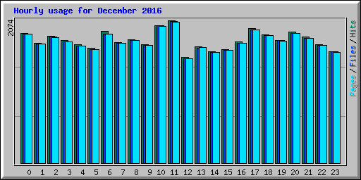 Hourly usage for December 2016