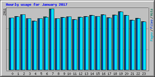 Hourly usage for January 2017